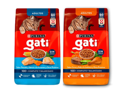 GATI