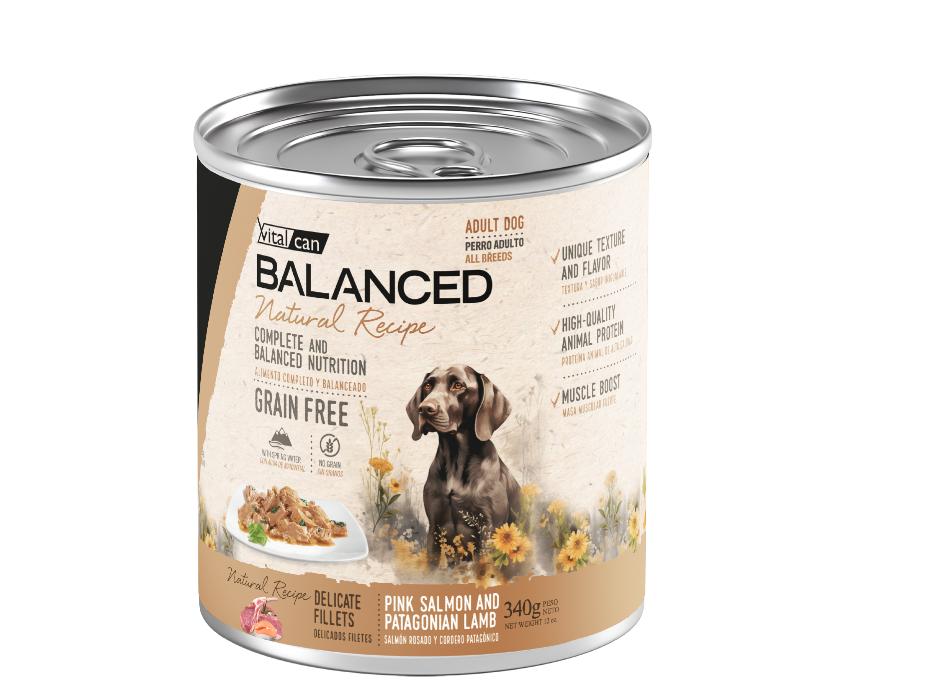 ALIM. HUMEDO VITAL CAN NATURAL RECIPE - 340GR