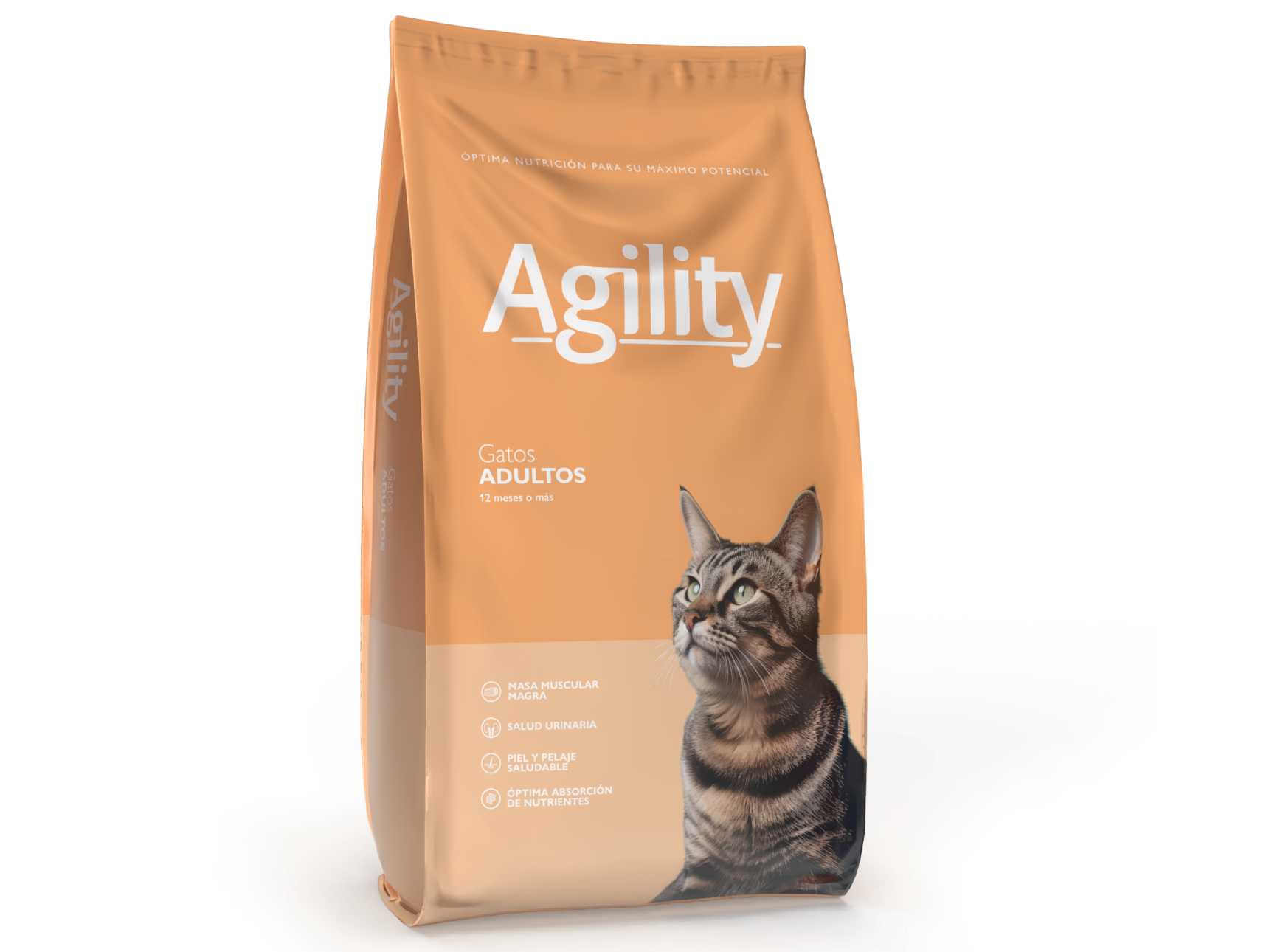 AGILITY GATO ADULTO