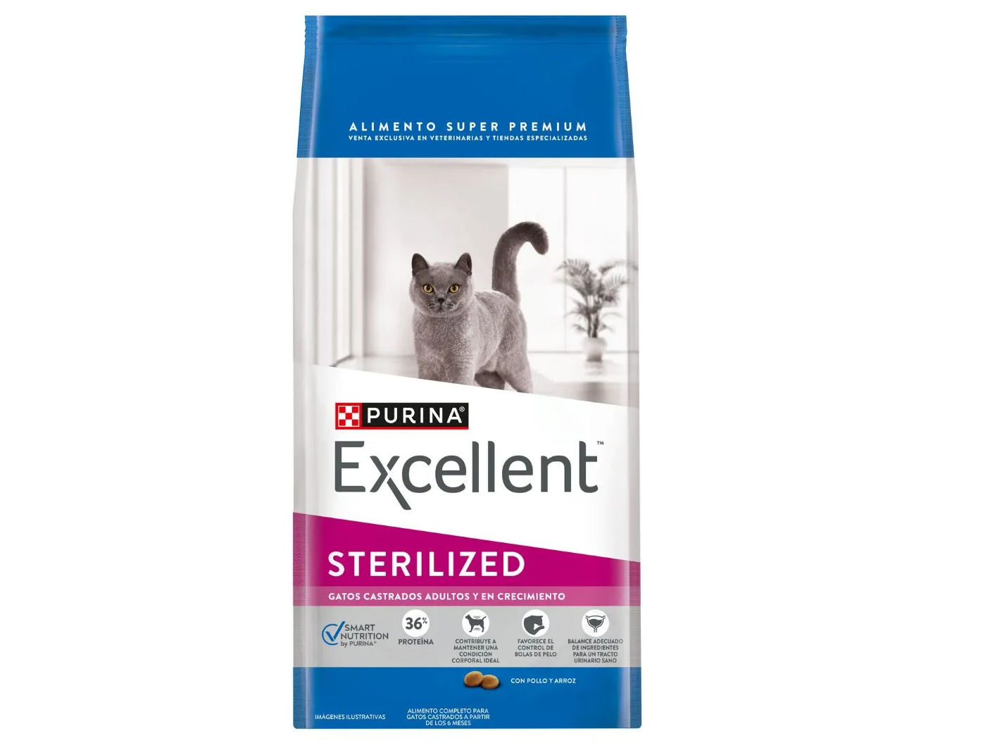 EXCELLENT  GATO STERILIZED