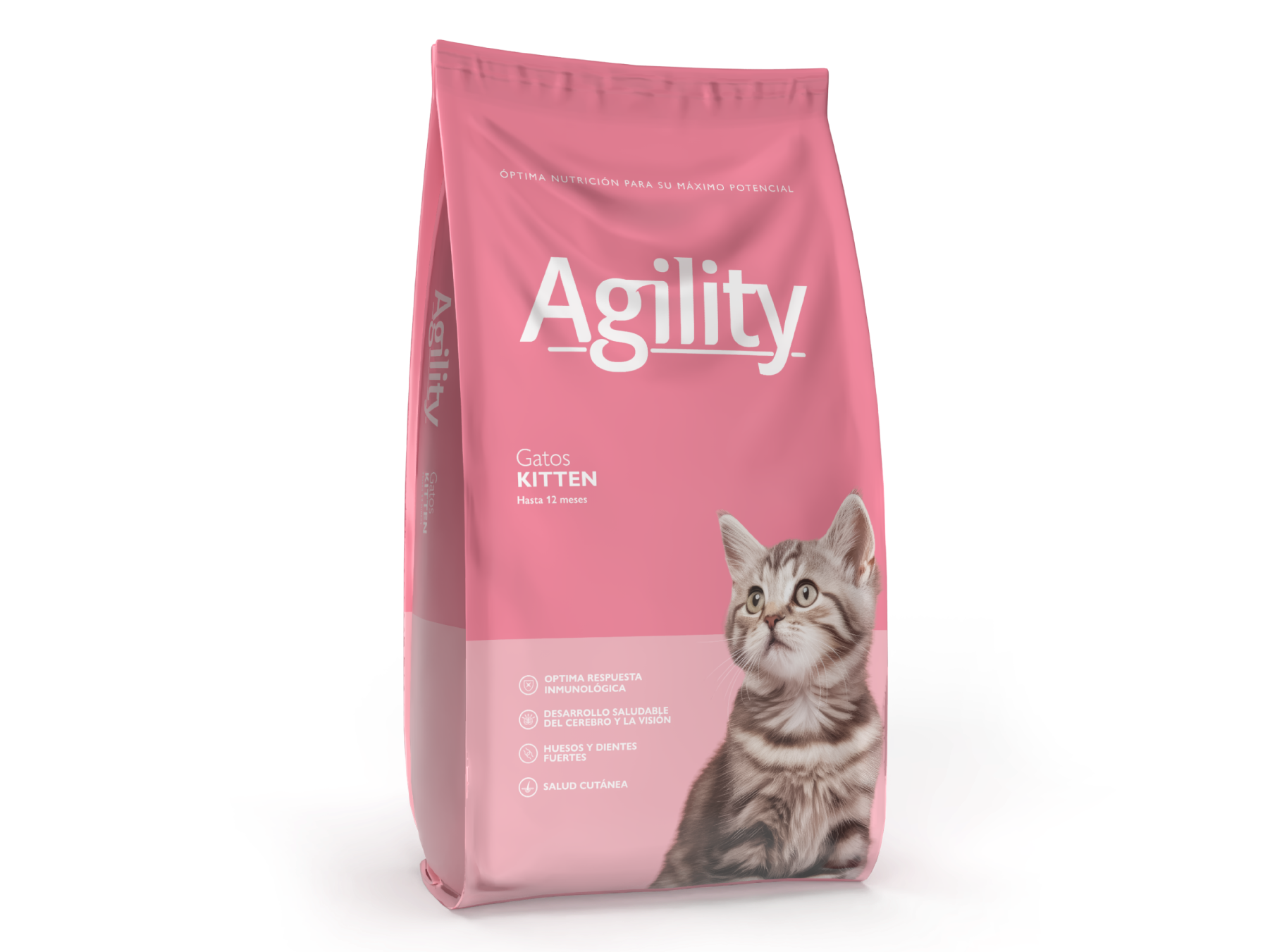 AGILITY GATO KITTEN X 10KG