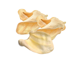 OREJA DE VACA - premium