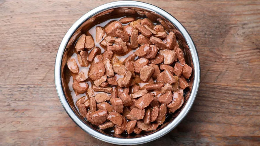 Alimentos Húmedos para Perros y Gatos