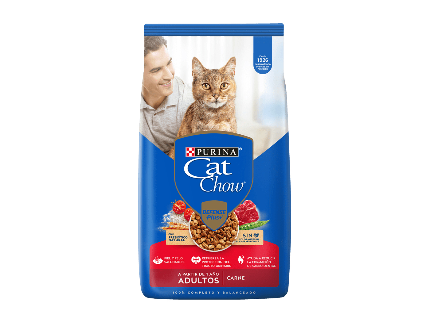 Cat Chow Adultos Carne x1kg.