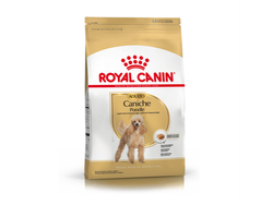 Royal Canin Perros Poodle 33 Adulto x3kg. (Caniche)