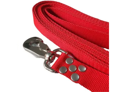 Foxy Correa Lisa T3 - 25mm. x 1.20m.