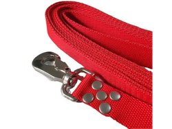 Foxy Correa Lisa T3 - 25mm. x 1.20m.