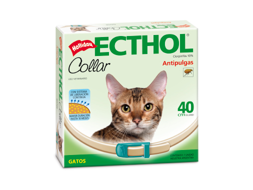 Echtol 5 Collar Gatos