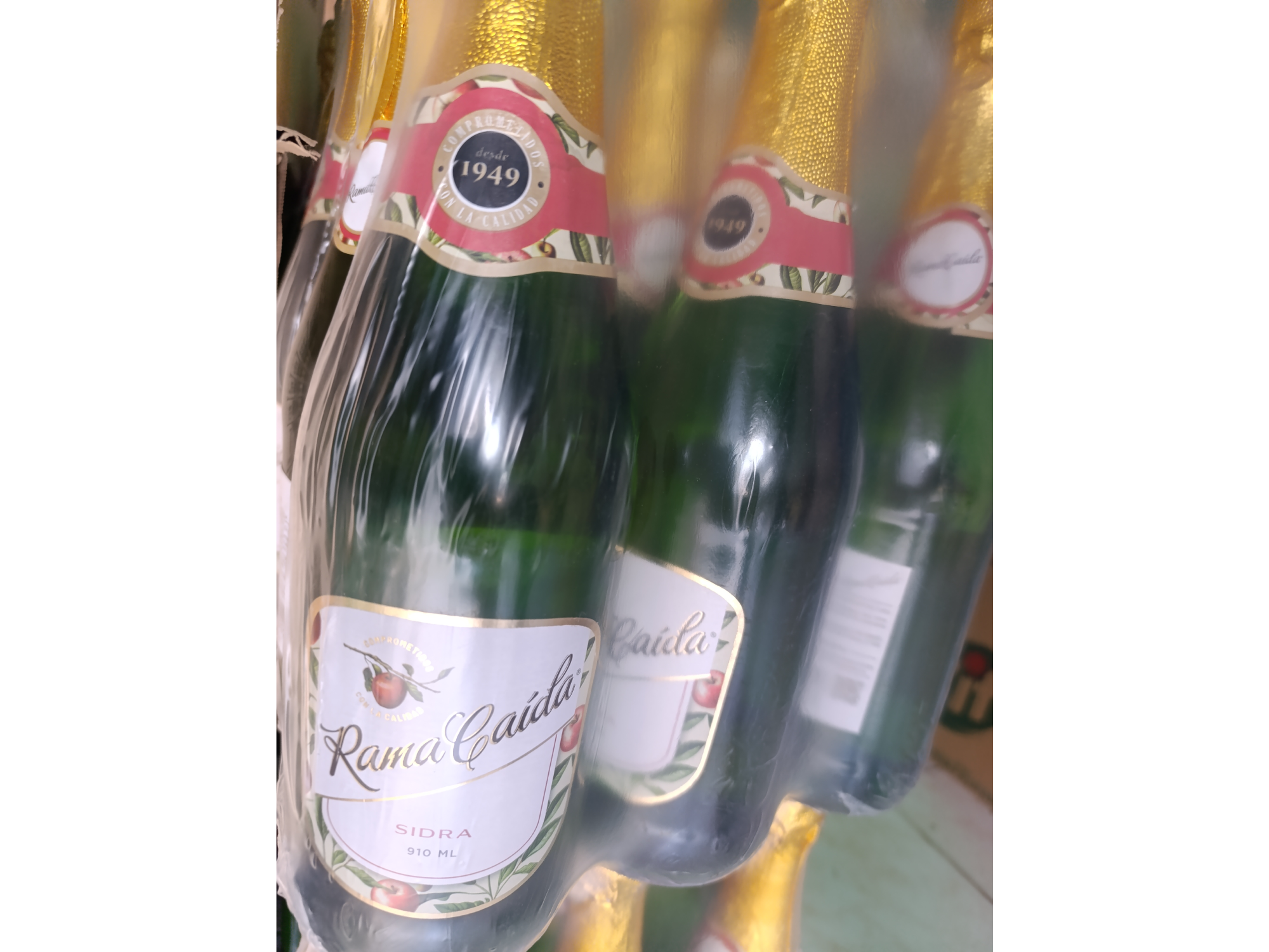 SIDRA rama caida X 750 x 6