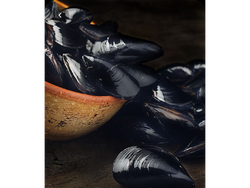 Mejillon entero (origen chile)