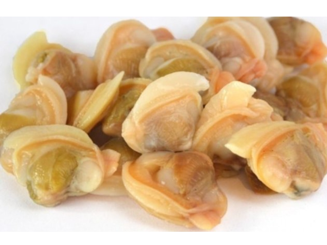 Almeja chilena (taquilla)