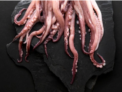 Tentaculo de calamar