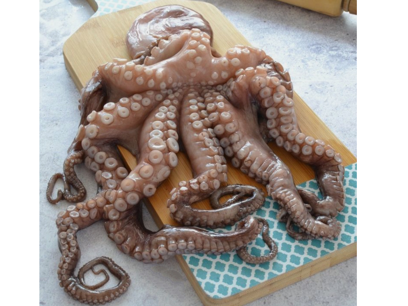 Pulpo (origen españa)