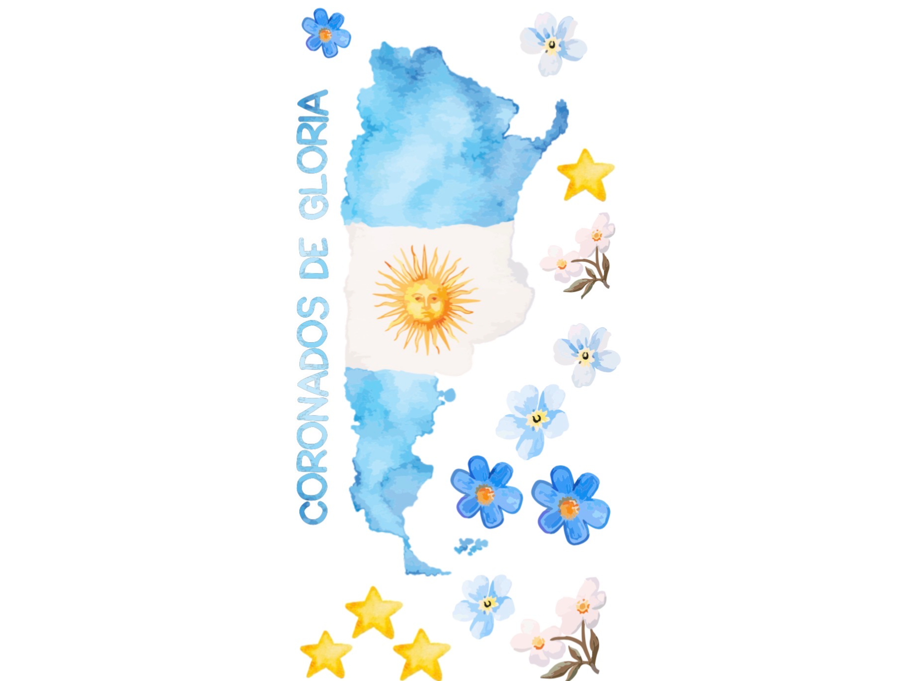 Plancha Argentina 08