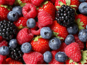 Frutos Rojos de ELCAJONCITODESUYAI
