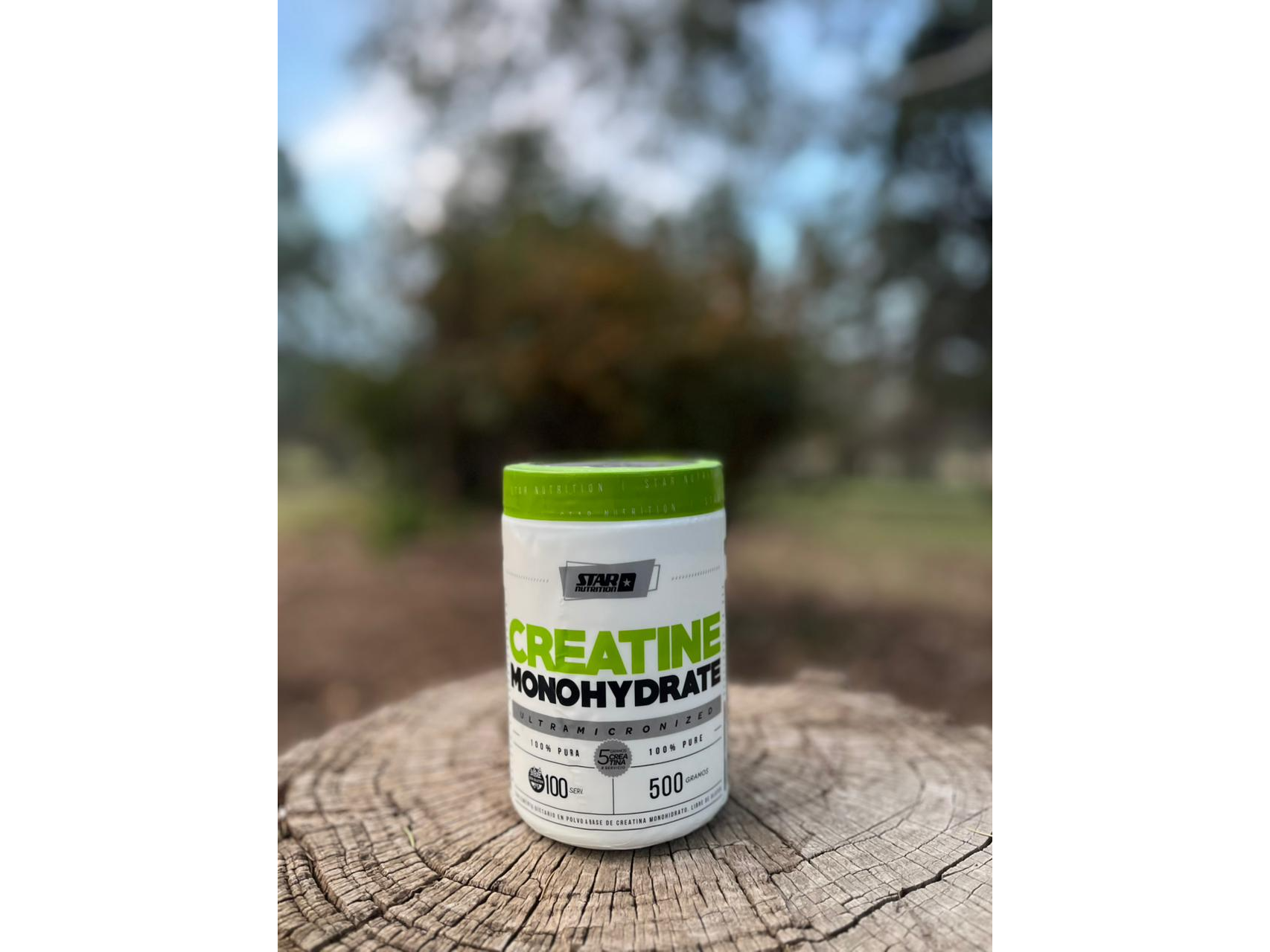 Creatina monohidrato 500gr (pote)
