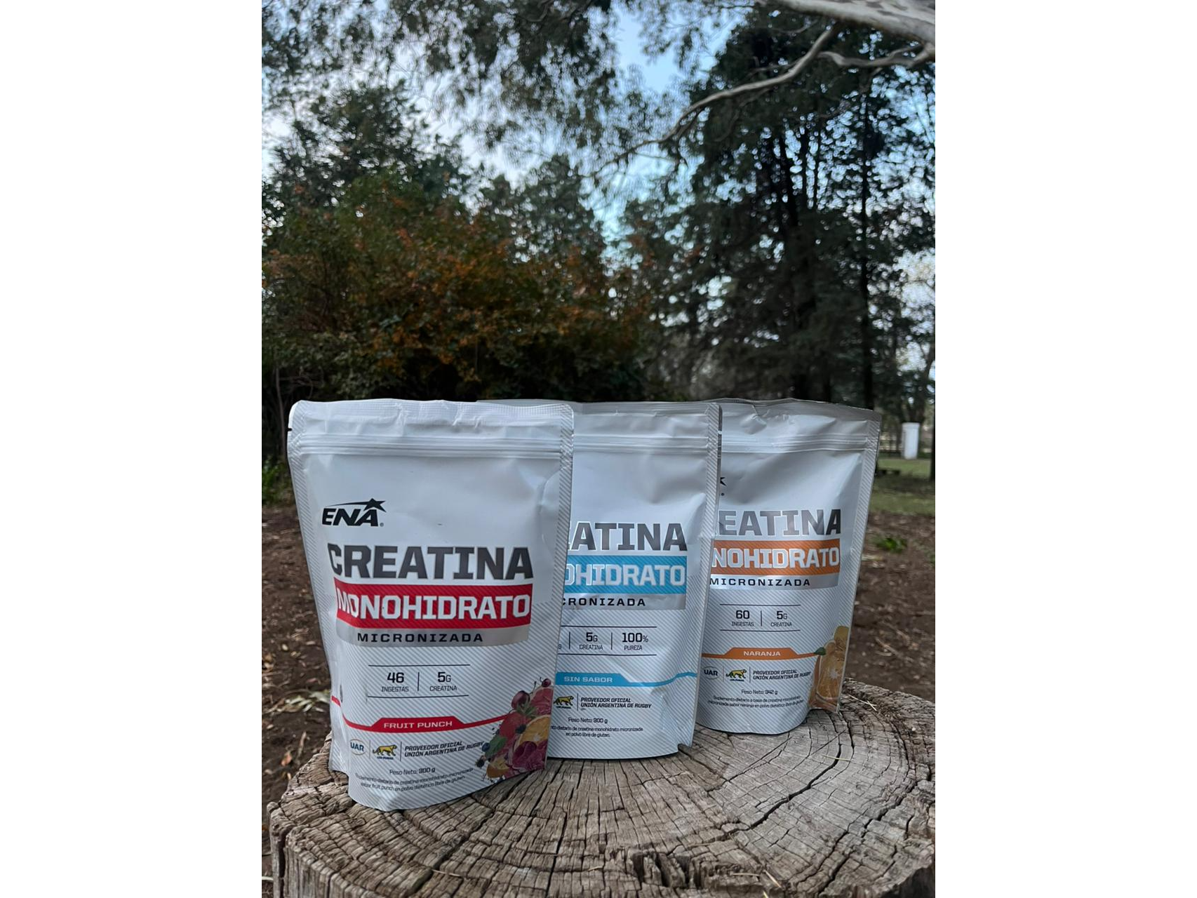 Creatina monohidrato ENA 300gr