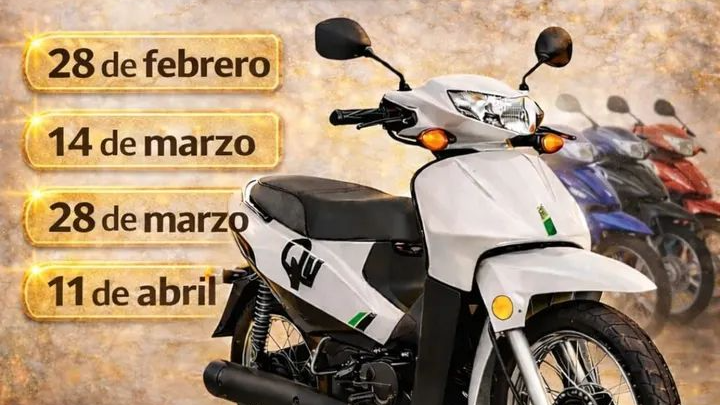 NEC Carnicerias Av Independencia 1400