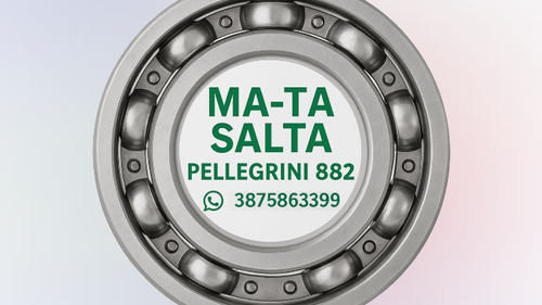 MA-TA SALTA PELLEGRINI 882