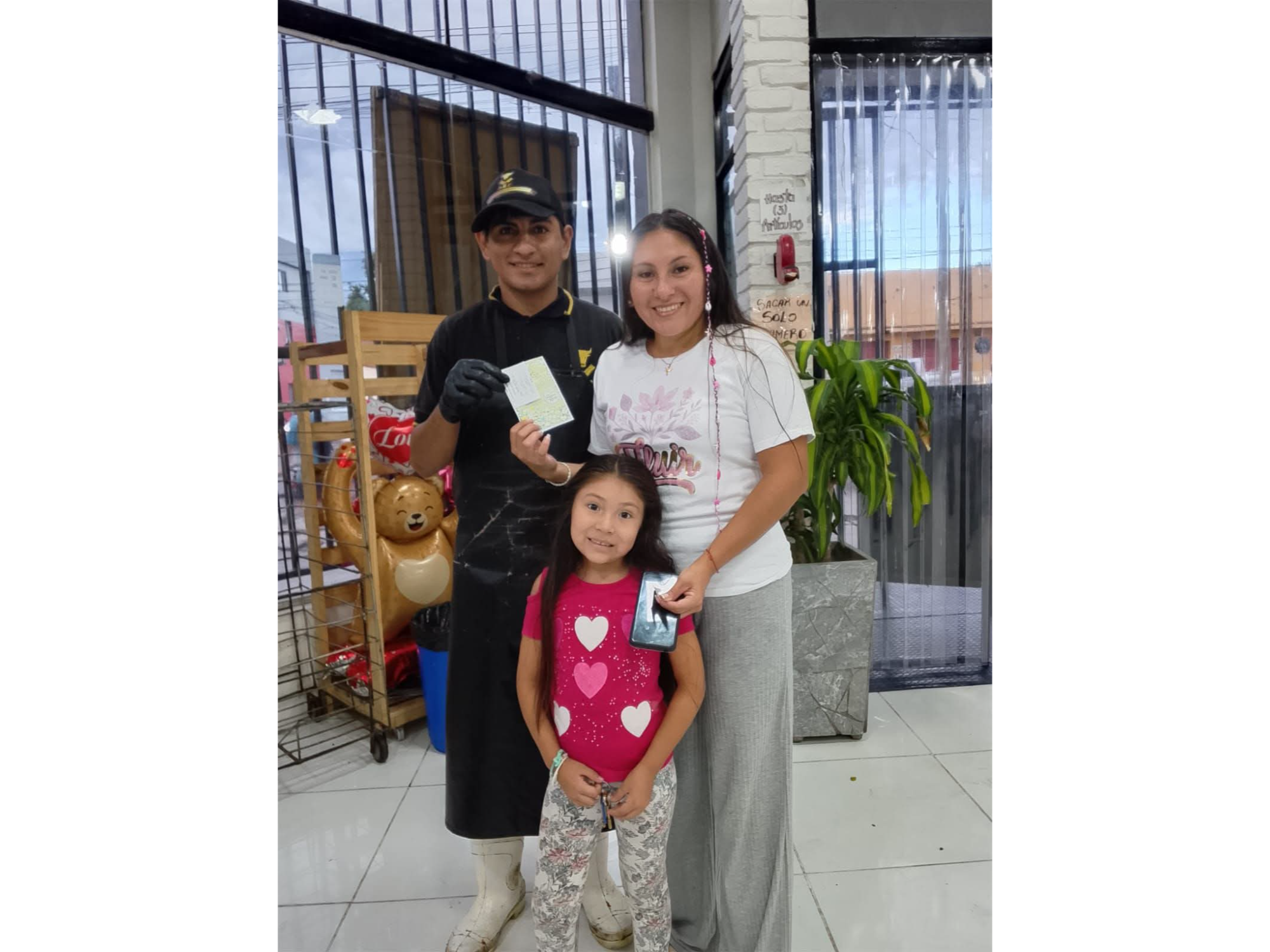 NEC Carnicerias Av Independencia 1400