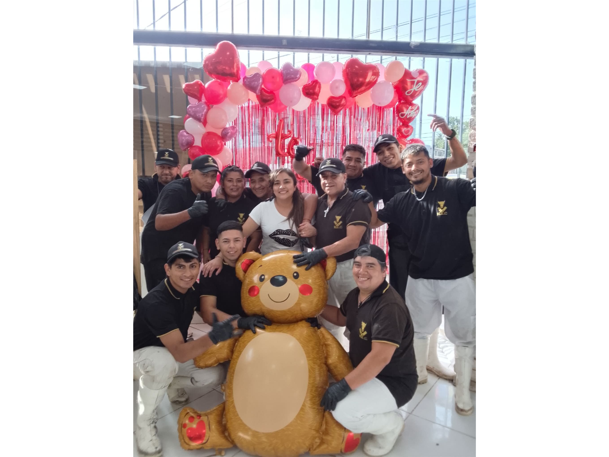 NEC Carnicerias Av Independencia 1400