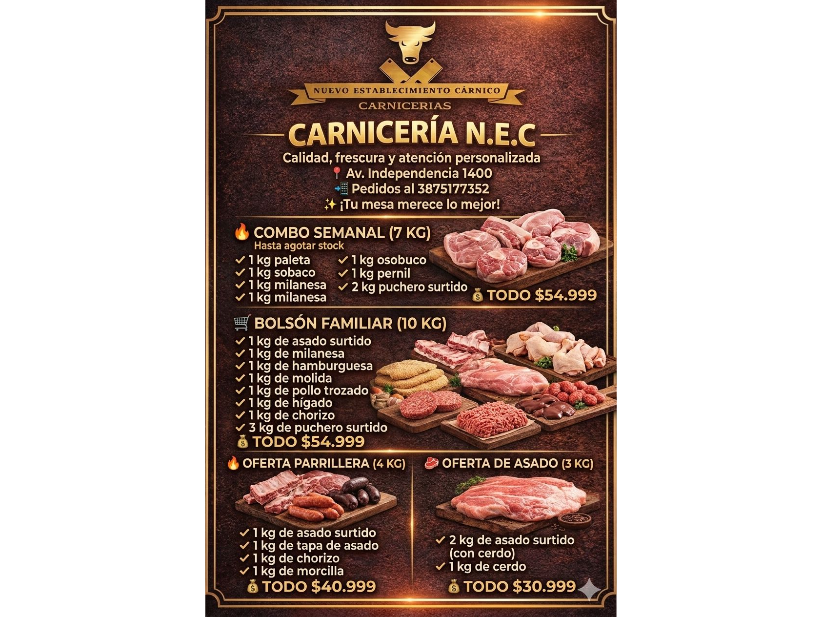 NEC Carnicerias Av Independencia 1400