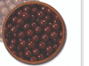 BALON DE CEREAL CON CHOCOLATE CHOCOLART