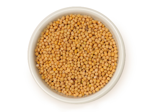 MOSTAZA EN GRANO GRANEL