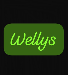 Logo Wellys