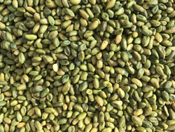 PISTACHOS PELADOS NATURAL