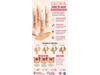 Corrector de Ojeras Skora