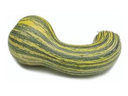 calabaza