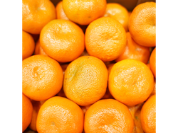 mandarina criolla