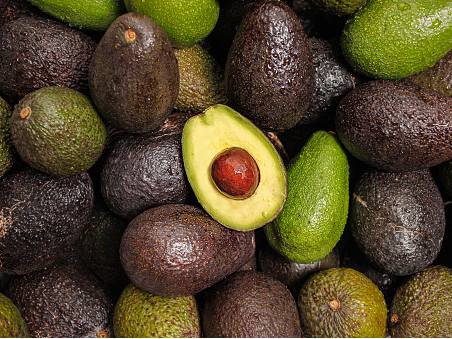 Palta