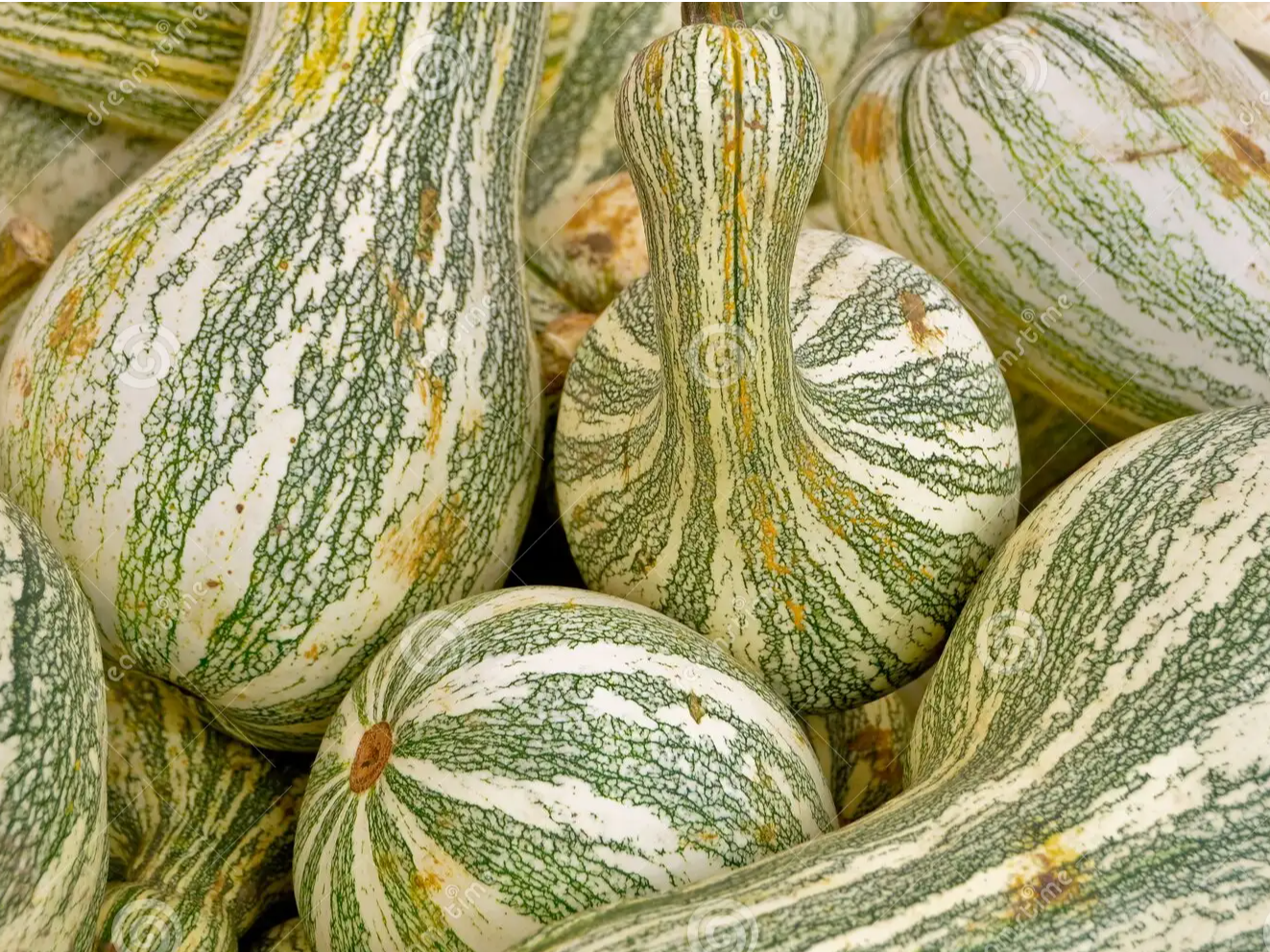 Calabaza 1kg