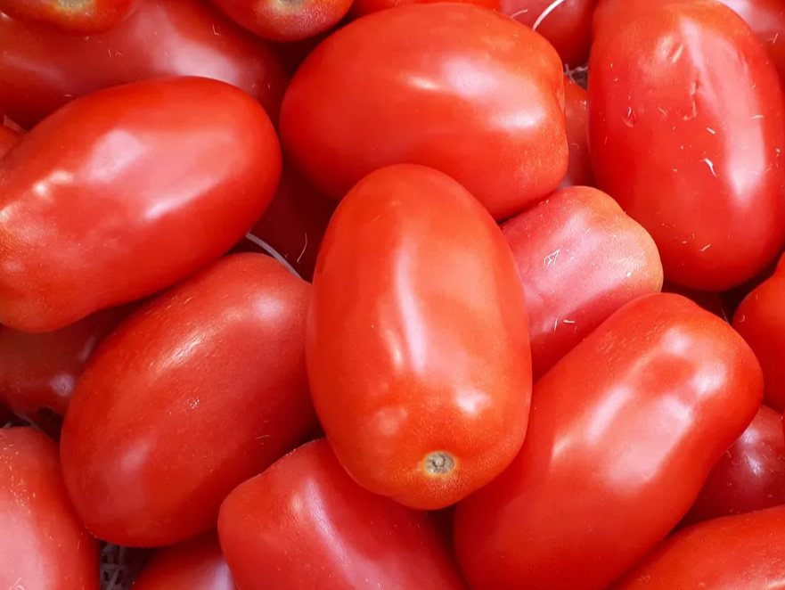 Tomate Perita