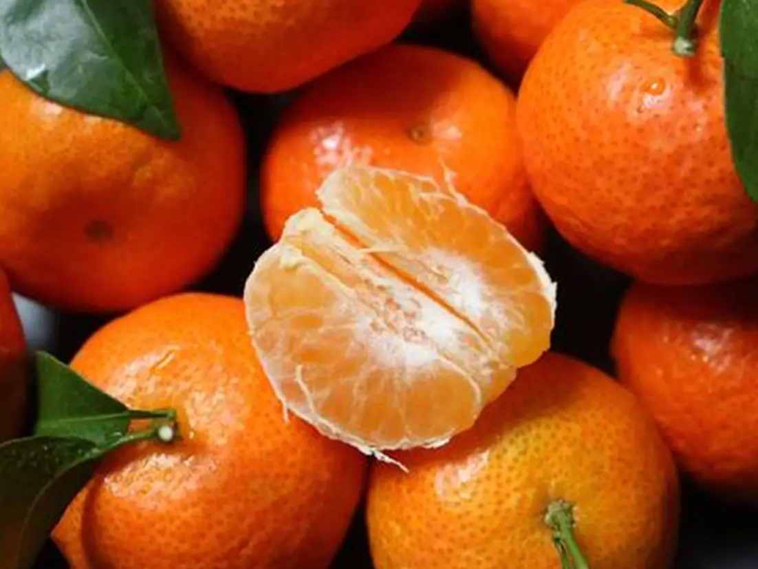 Mandarina criolla