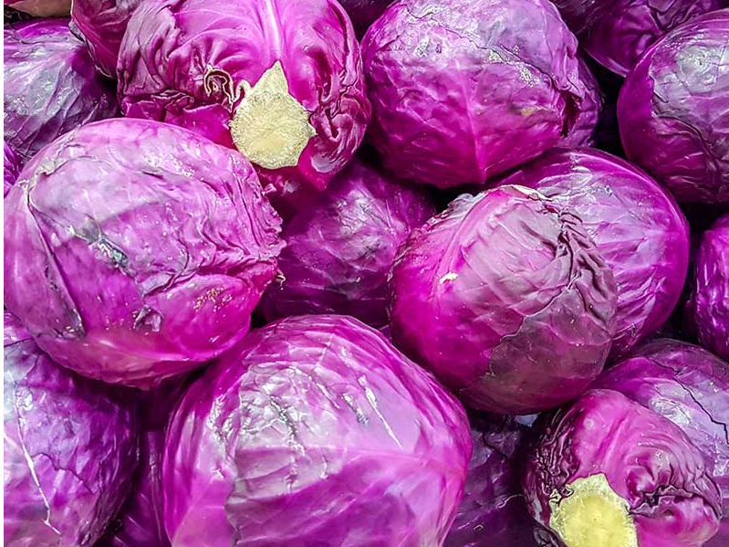 Repollo morado