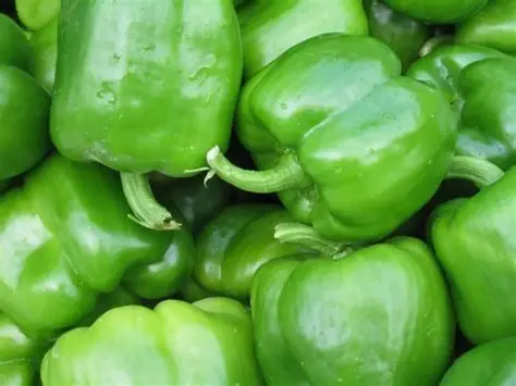 Pimiento verde 1kg