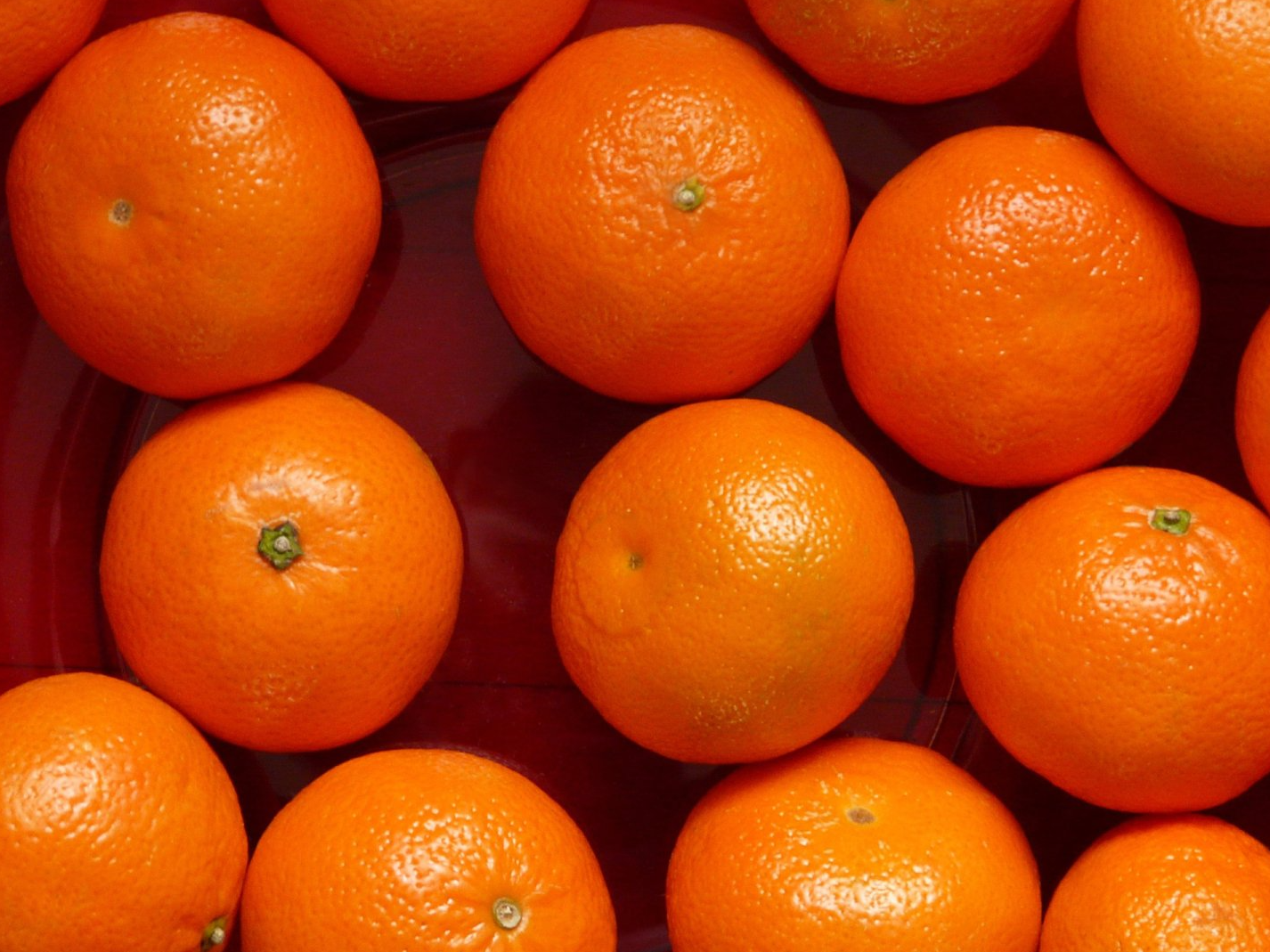 Mandarina Okytsu