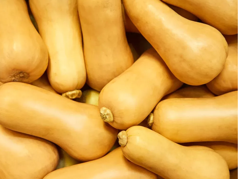 Calabacin