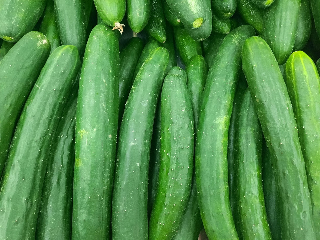 Pepino 1kg