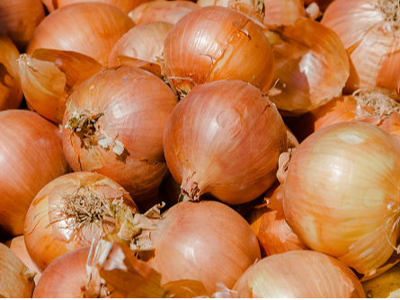 Cebolla