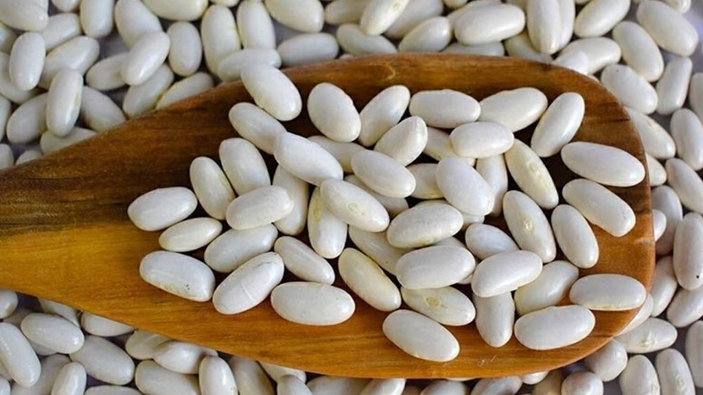 Legumbres (A Granel y Envasados)