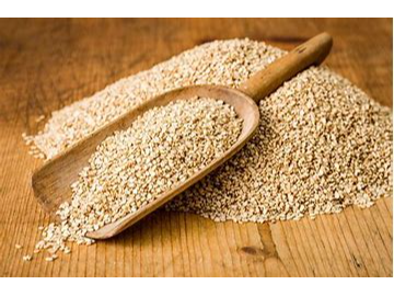 Semillas de Sésamo Integral (a GRANEL)