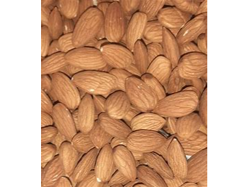 Almendras non pareil 27/30 (Chile) (a GRANEL)