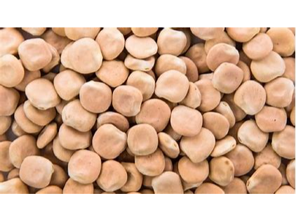 LUPINES a GRANEL (Yin Yang)