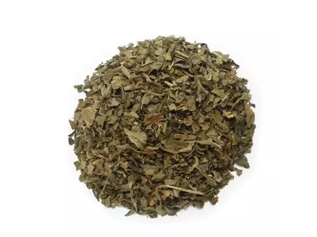 Palta Anisada Hojas