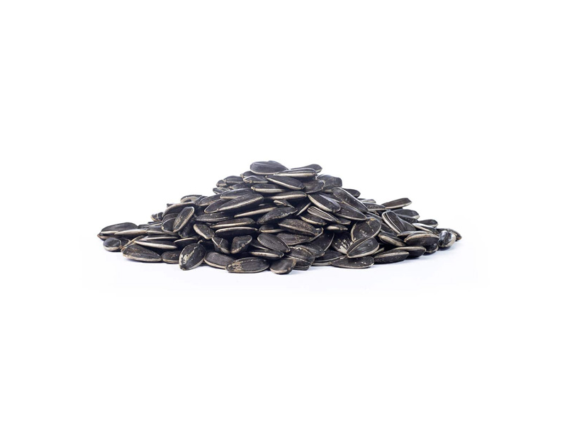 Girasol con Cascara Tostado