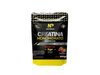 Creatina x 300gr New Protein Sabor Frutilla